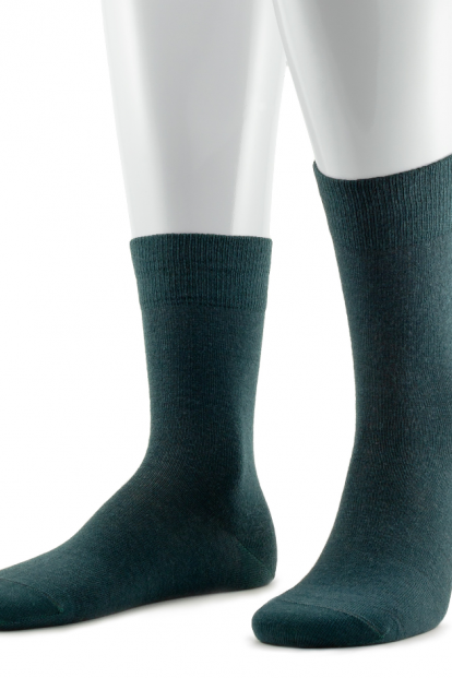 Шерстяные мужские носки Sergio Di Calze 17SC8 Wool Merino - фото 1