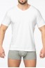 Белая мужская футболка с треугольным вырезом Sergio Dallini t751-1 - фото 1