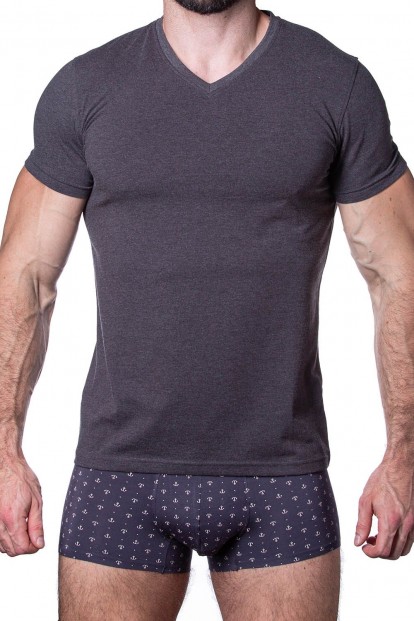 Серая мужская футболка с треугольным вырезом Sergio Dallini t751-3 - фото 1