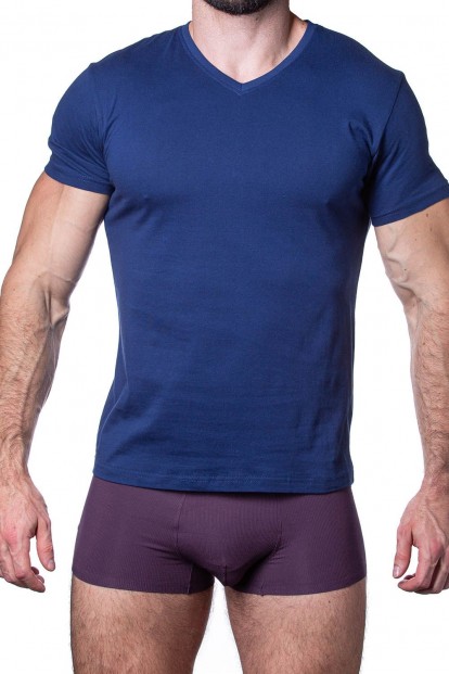 Синяя мужская футболка с треугольным вырезом Sergio Dallini t751-4 - фото 1