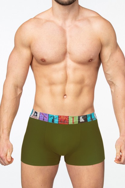 Зеленые мужские трусы боксеры с цветной резинкой TUOSITE 8023-5 - фото 1