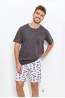 Мужская хлопковая пижама с шортами и футболкой Taro 23s relax 2893-02 - фото 1