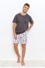 Мужская хлопковая пижама с шортами и футболкой Taro 23s relax 2893-02 - фото 2