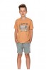 Детская хлопковая пижама для мальчиков с шортами и футболкой Taro 22s wadim 2748-2749-01 - фото 1