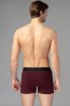 Облегающие мужские трусы боксеры из хлопка со средней посадкой Omsa underwear Oms elemento 1234 boxer - фото 6