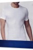 Мужская хлопковая футболка без боковых швов Primal 8100 maxi uomo t-shirt maglia manica girocollo - фото 1
