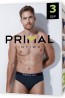 Набор мужских трусов слип из хлопка Primal S287 uomo slip 3 шт. в упаковке - фото 1