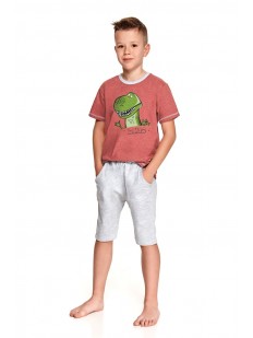 Детская пижама для мальчиков с шортами и футболкой с принтом динозаврик