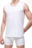 Мужская футболка Cornette Authentic Au 206 - фото 1