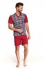 Летняя мужская пижама с шортами и клетчатой футболкой Taro 002/001/294 ss21 ROMAN - фото 1