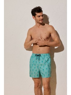 Мужские пляжные бирюзовые шорты с рисунком  