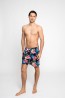 Пляжные мужские шорты с ярким принтом Leyeroo MARK 006 - фото 1