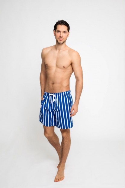 Пляжные мужские шорты в полоску Leyeroo MARK 003 - фото 1