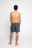 Серые мужские шорты для пляжа Leyeroo DANIEL 002 - фото 2