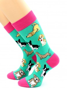 Яркие разноцветные женские носки с собачками
