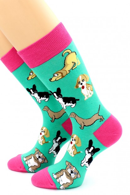 Яркие разноцветные женские носки с собачками HOBBY LINE 80135-1-01 - фото 1