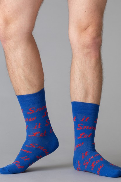 Новогодние мужские носки с надписями Giulia MS3 NEW YEAR 2101 - фото 1
