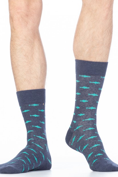 Хлопковые мужские носки с рисунком Giulia for men MSL 009 - фото 1