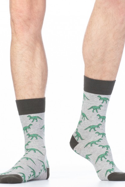 Хлопковые мужские носки с рисунком Giulia for men MSL 012 - фото 1